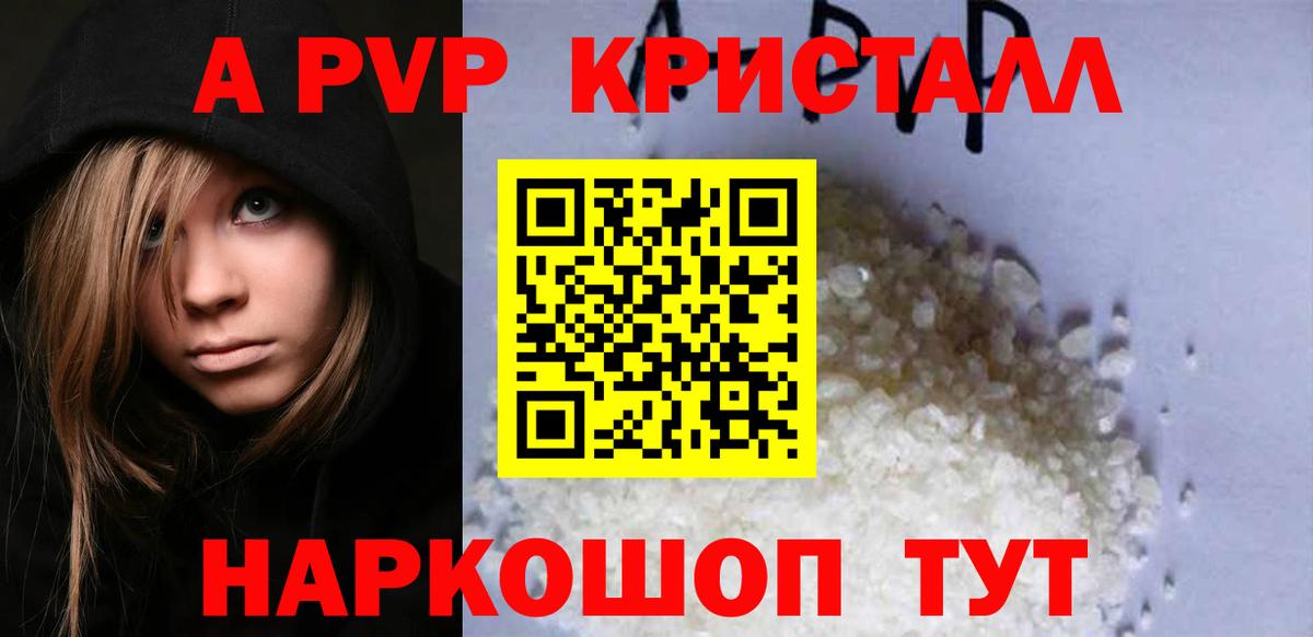 Альфа ПВП СК Нижнекамск
