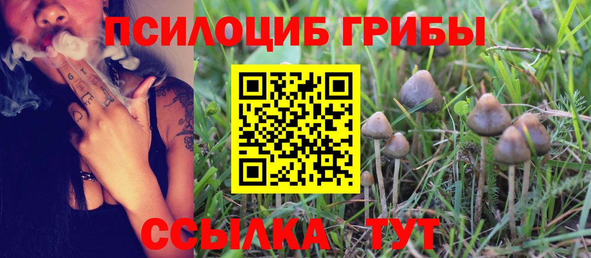 Галлюциногенные грибы Cubensis  Галлюциногенные грибы MAGIC MUSHROOMS  Вход с VPN  Нижнекамск 