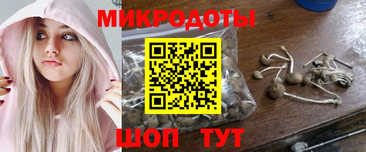 Галлюциногенные грибы MAGIC MUSHROOMS Нижнекамск